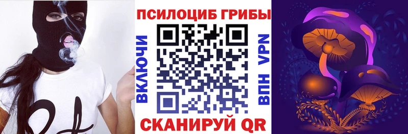 Псилоцибиновые грибы Psilocybine cubensis  Нижний Ломов 